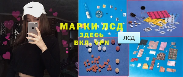 шишки Алзамай