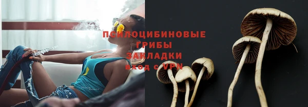 МДПВ Аркадак