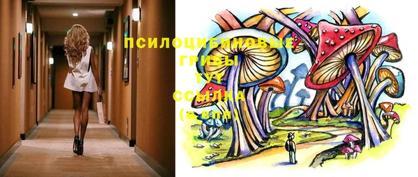 ГАЛЛЮЦИНОГЕННЫЕ ГРИБЫ Алексин
