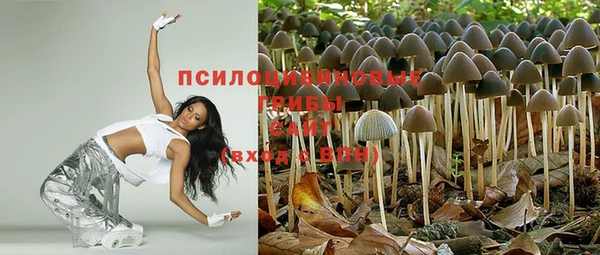 а пвп мука Сосновка