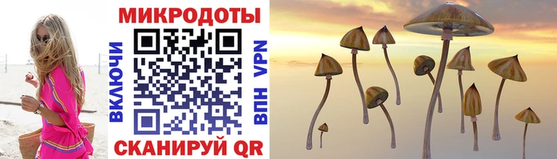 Псилоцибиновые грибы мухоморы ОМГ ОМГ ССЫЛКА Дыгулыбгей